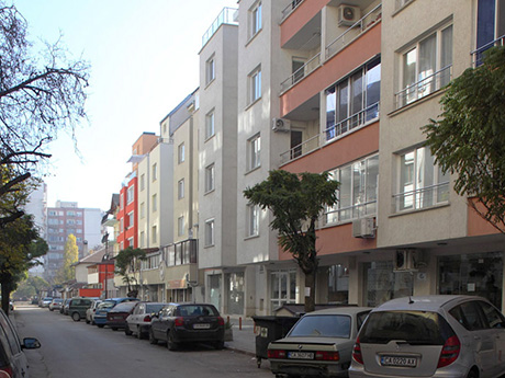 Бели брези